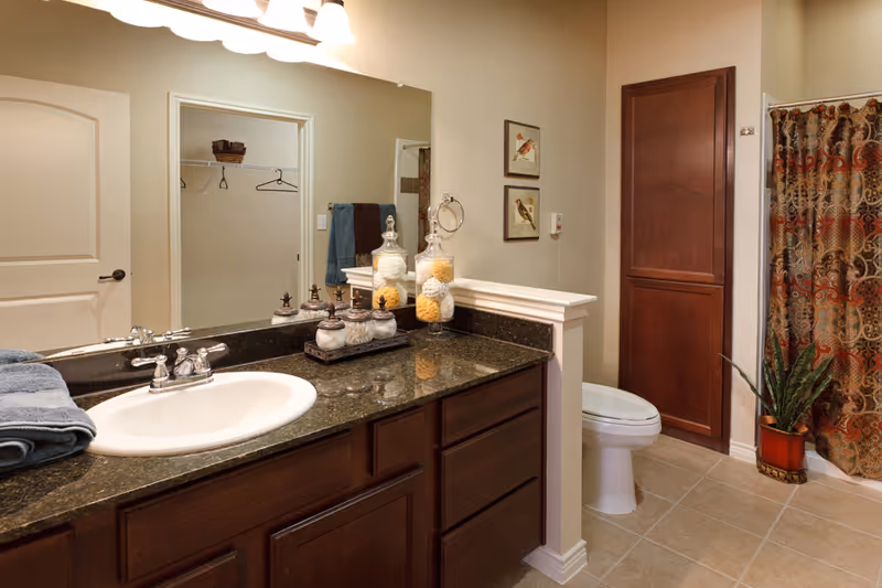 Well-lit bathroom with a dark granite vanity and sink, mirror, toilet, tall cabinet, patterned shower curtain, and decorative accents.