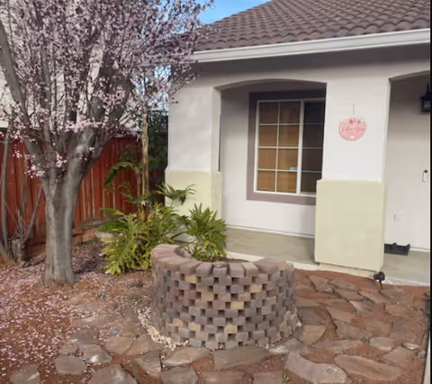 Outdoor view of a residential area with a flowering tree shedding pink petals, a circular brick planter with green plants, a stone-paved ground, and part of a house with a window and a small porch.