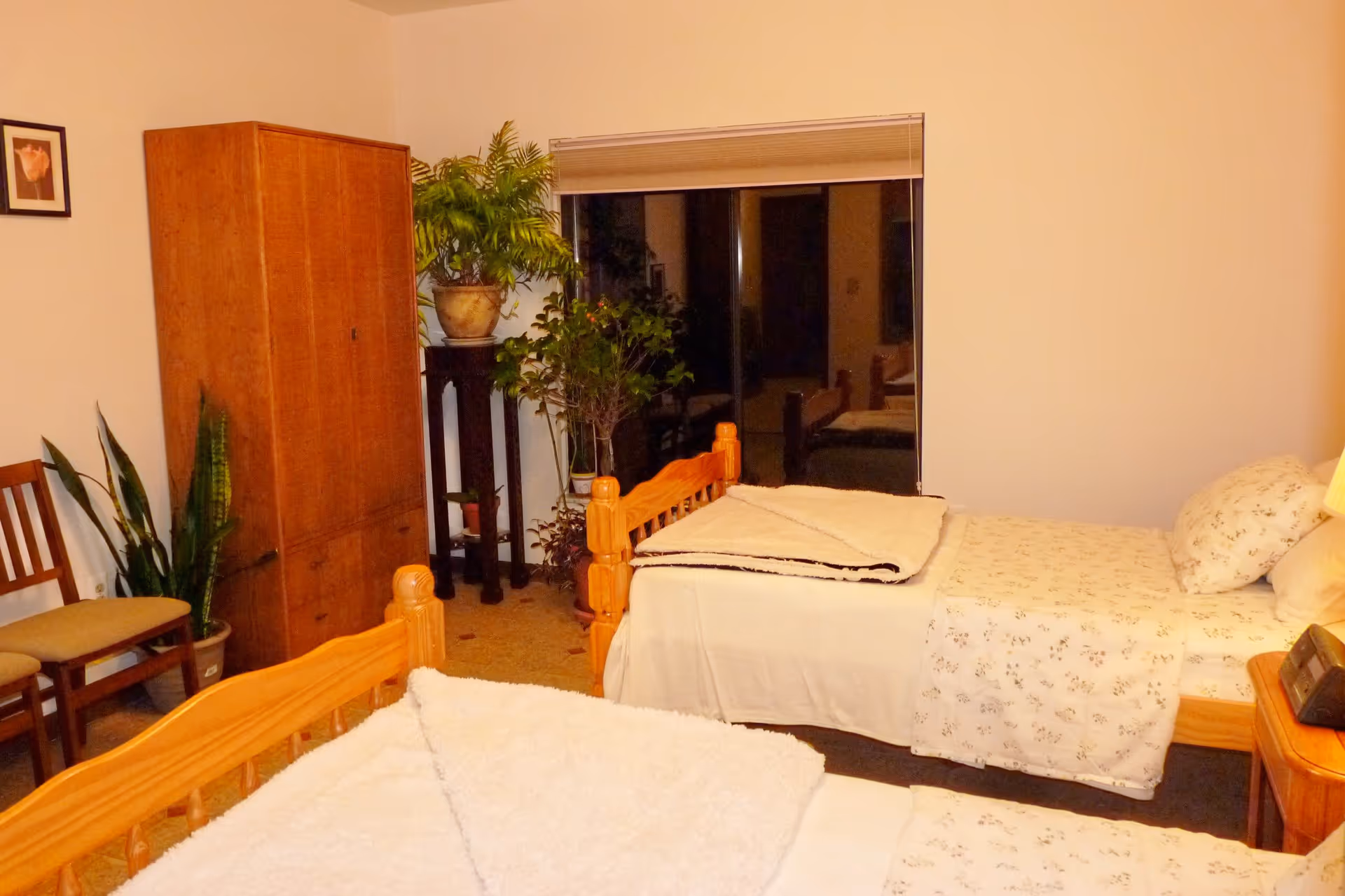 A cozy bedroom with two single wooden beds, each made with white floral bedding and a folded blanket at the foot. There is a wooden wardrobe, a small wooden nightstand with a lamp and clock, two wooden chairs, and several potted plants near a large window with closed blinds.