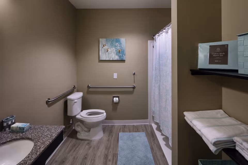 Accessible bathroom with toilet and grab bars, a sink with granite countertop, a shower with curtain, and shelving with towels.