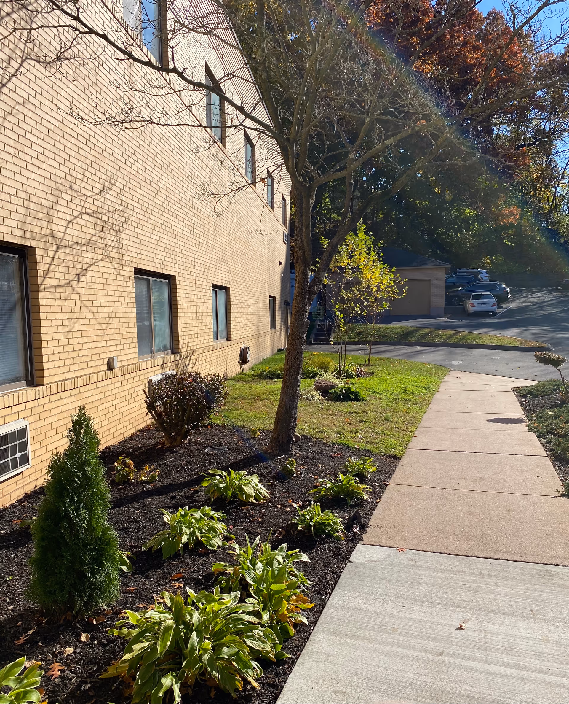 Side view of a beige brick building with several windows, a landscaped garden bed with small bushes and plants, a tree without leaves, a concrete sidewalk, and a parking area with cars in the background under a clear blue sky.