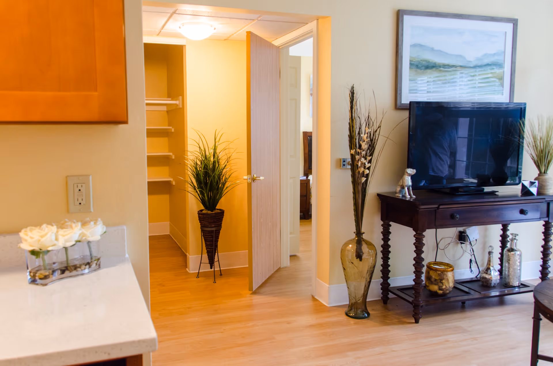Interior view of a senior living facility room showing a wooden TV stand with a flat-screen TV, decorative vases, and a framed landscape painting on the wall. To the left, there is a partial view of a kitchen counter with white roses in a glass vase. An open door reveals a small closet with shelves and a potted plant on the floor.