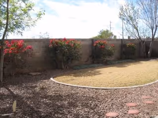 Desert-style outdoor courtyard with gravel, red flowering shrubs, and a brick boundary wall.