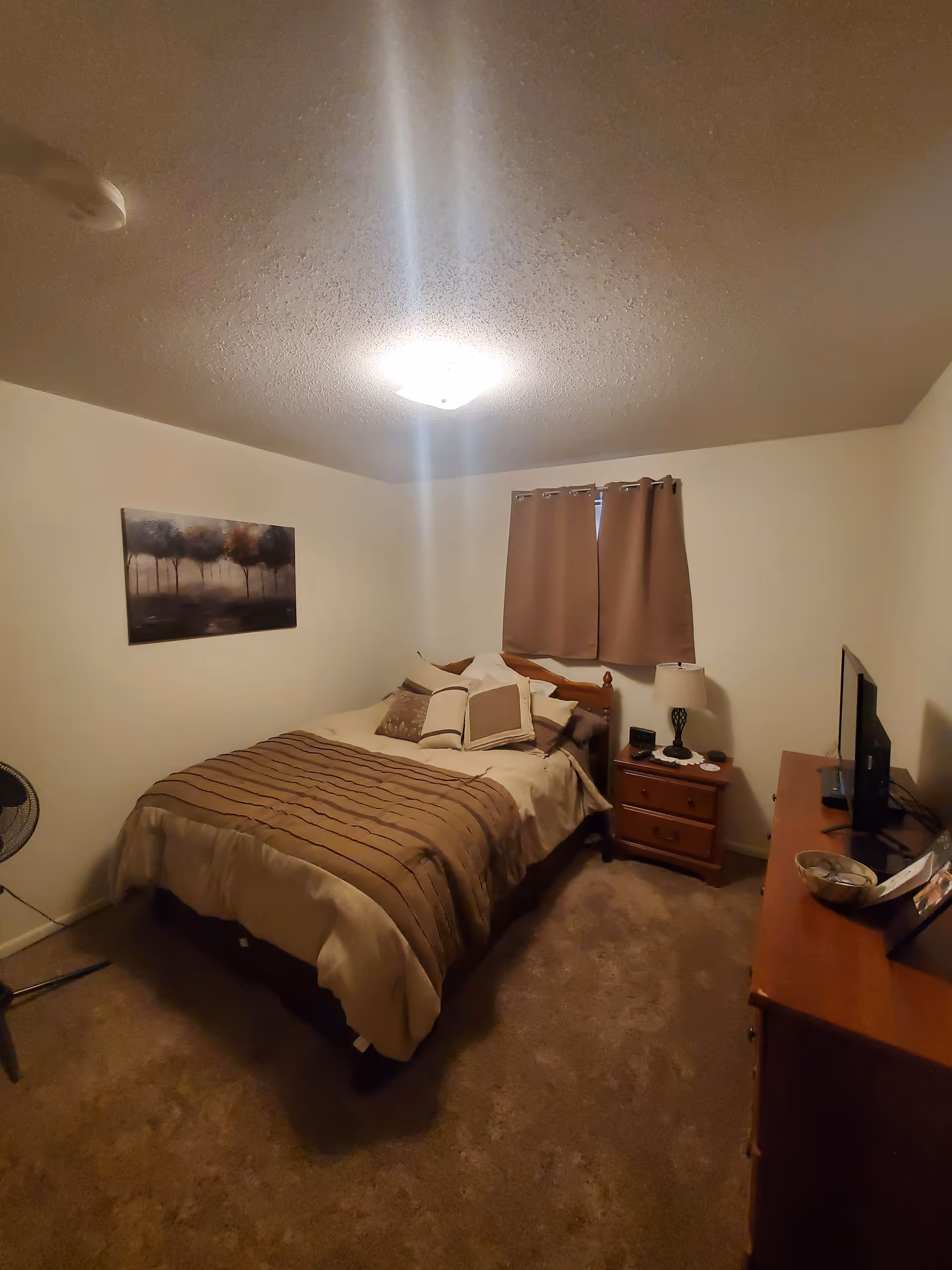 A small bedroom with a bed covered in beige and brown bedding, several pillows, a wooden nightstand with a lamp and alarm clock, a dresser with a TV and decorative items, a window with brown curtains, and a painting of trees on the wall.