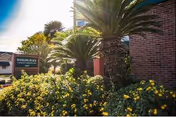 Outdoor view of Sterling Place facility sign surrounded by lush green plants and yellow flowers, with a brick building and palm trees in the background under a bright sky.