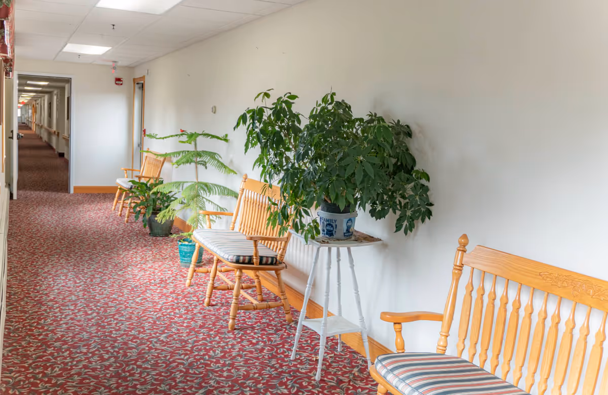 Carpeted senior living hallway with wooden benches and potted plants along a white wall.