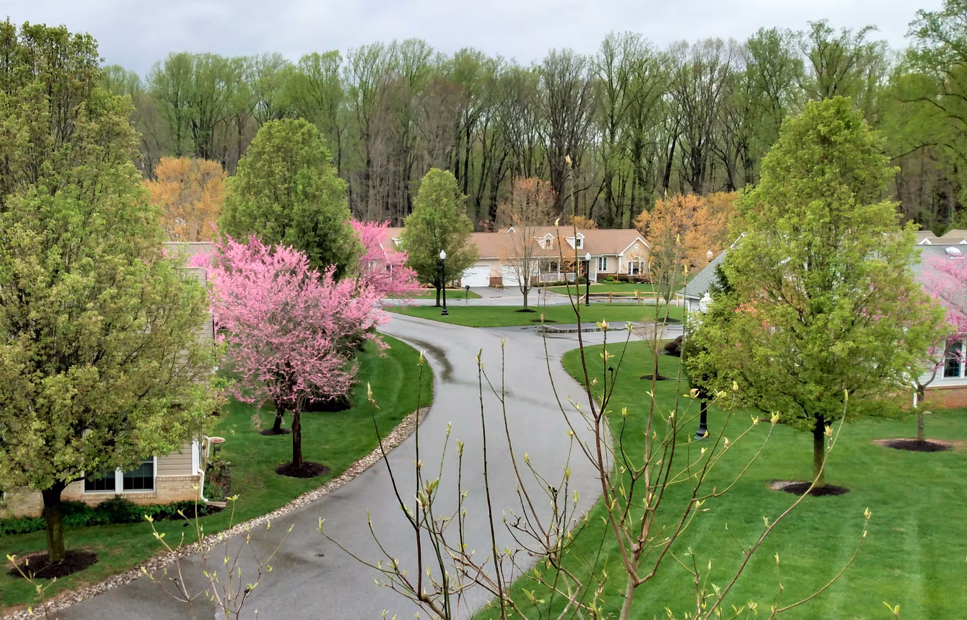 View of a retirement village with paved roads winding through green lawns and trees, including some with pink blossoms, surrounded by single-story residential buildings and a wooded area in the background.
