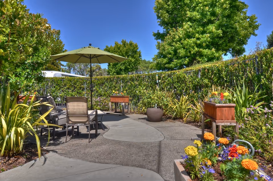 Outdoor patio area with a concrete pathway surrounded by lush green plants and colorful flowers. There are several chairs and a table with a large green umbrella providing shade. The area is enclosed by a fence covered with greenery under a clear blue sky.