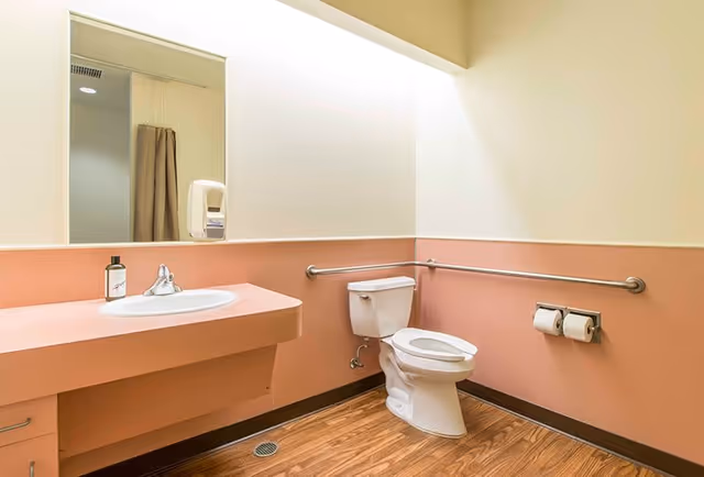A clean bathroom with a pink countertop and sink, a white toilet with grab bars on the walls, a mirror above the sink, a soap dispenser, and wood-patterned flooring.