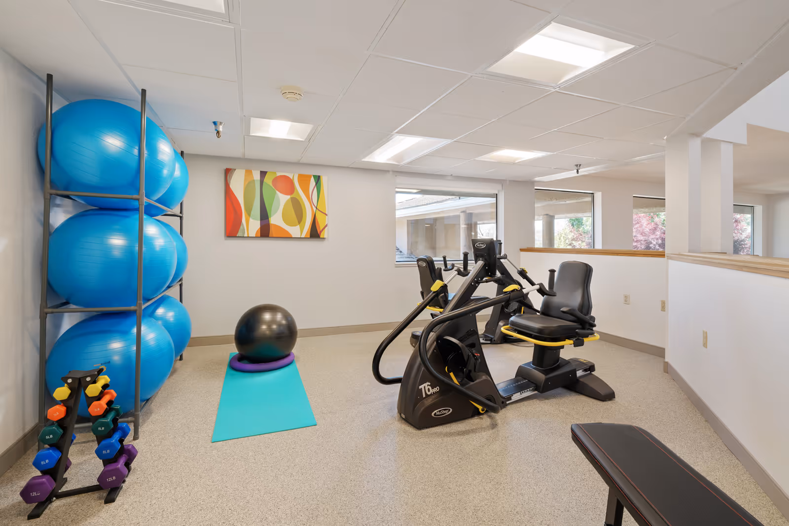 A fitness room with exercise equipment including a recumbent exercise bike, a rack of blue exercise balls, a set of colorful dumbbells, a black exercise ball on a purple ring, and a turquoise yoga mat. The room has large windows, white walls, and a colorful abstract painting on the wall.