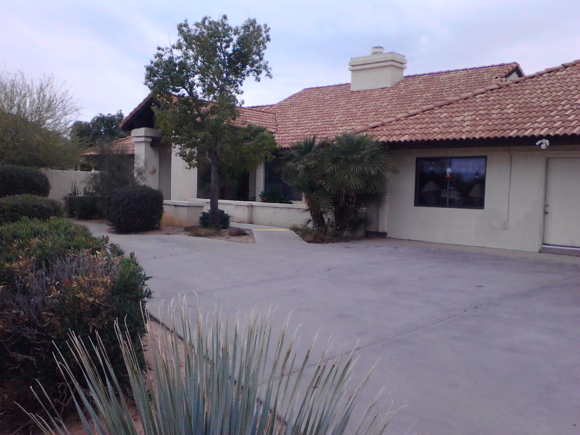 Exterior view of a single-story building with a tiled roof and beige walls, surrounded by various shrubs and trees, with a concrete driveway in front.