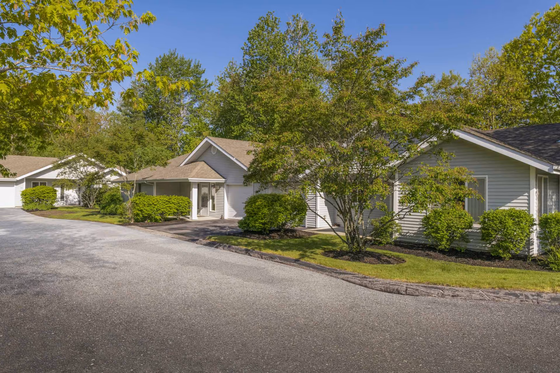 Row of single-story light-gray residential units with shrubs and trees along a paved driveway under a blue sky.