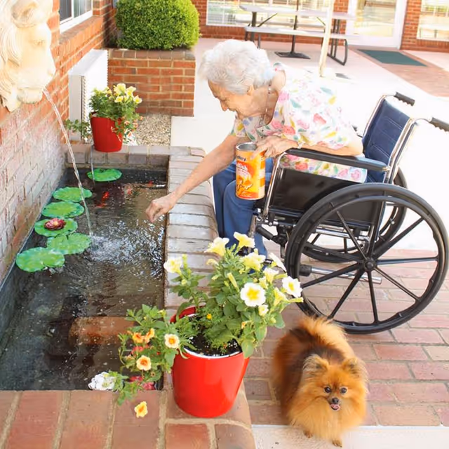 An elderly woman in a wheelchair reaches into a small outdoor fountain beside potted flowers while a small Pomeranian dog sits nearby.
