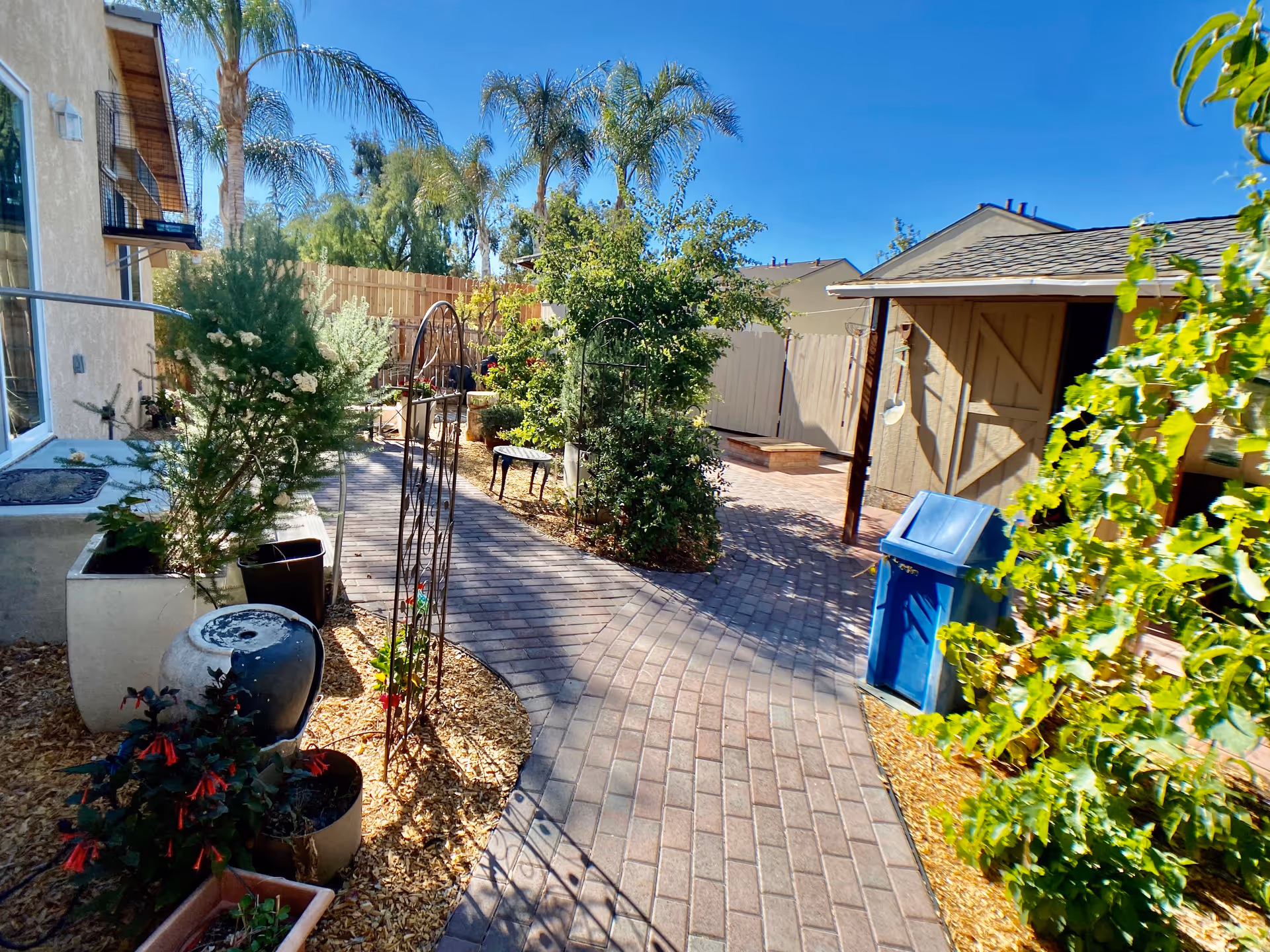 A sunny outdoor garden area with a paved brick pathway winding through various green plants and shrubs. There is a small wooden shed on the right side and a blue recycling bin nearby. The area is surrounded by a wooden fence and palm trees are visible in the background under a clear blue sky.