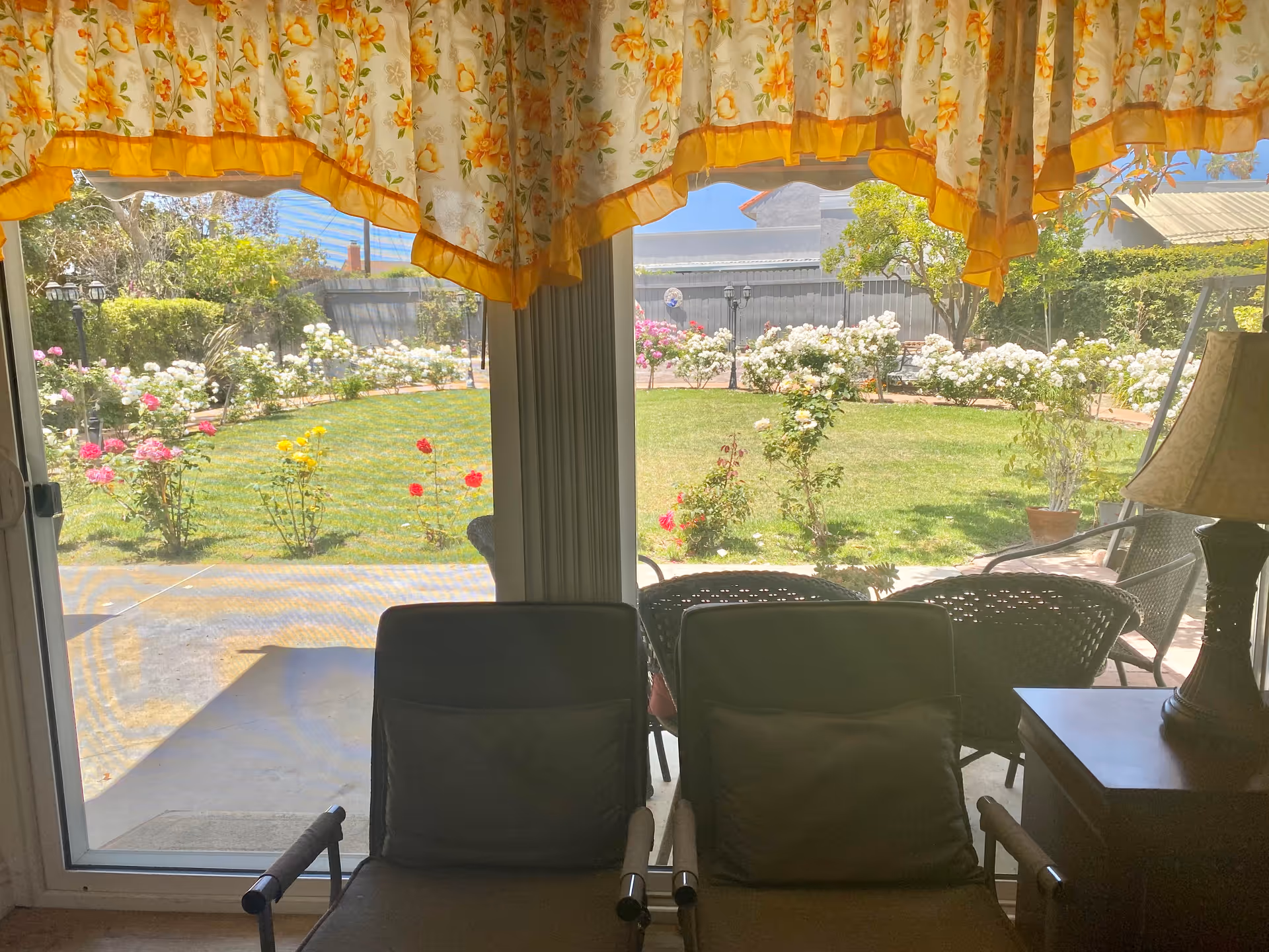 View from inside a room looking out through a sliding glass door to a garden with green grass, blooming rose bushes in white, pink, yellow, and red, and outdoor patio furniture. The window is adorned with floral curtains with yellow trim, and there is a lamp on a side table to the right.