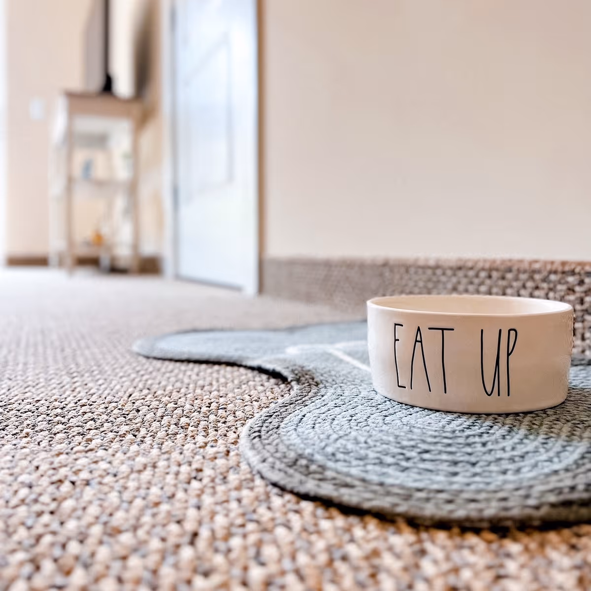 A white ceramic bowl labeled "EAT UP" sits on a braided placemat on a carpeted floor in a bright interior hallway.