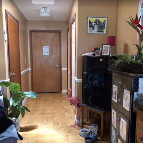 A decorated interior hallway with a closed wooden door at the end, potted plants, cabinets with pictures and decor, and a small flamingo ornament.