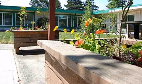 Outdoor courtyard of Regency Florence with wooden planters, colorful flowers, and a green building in background.