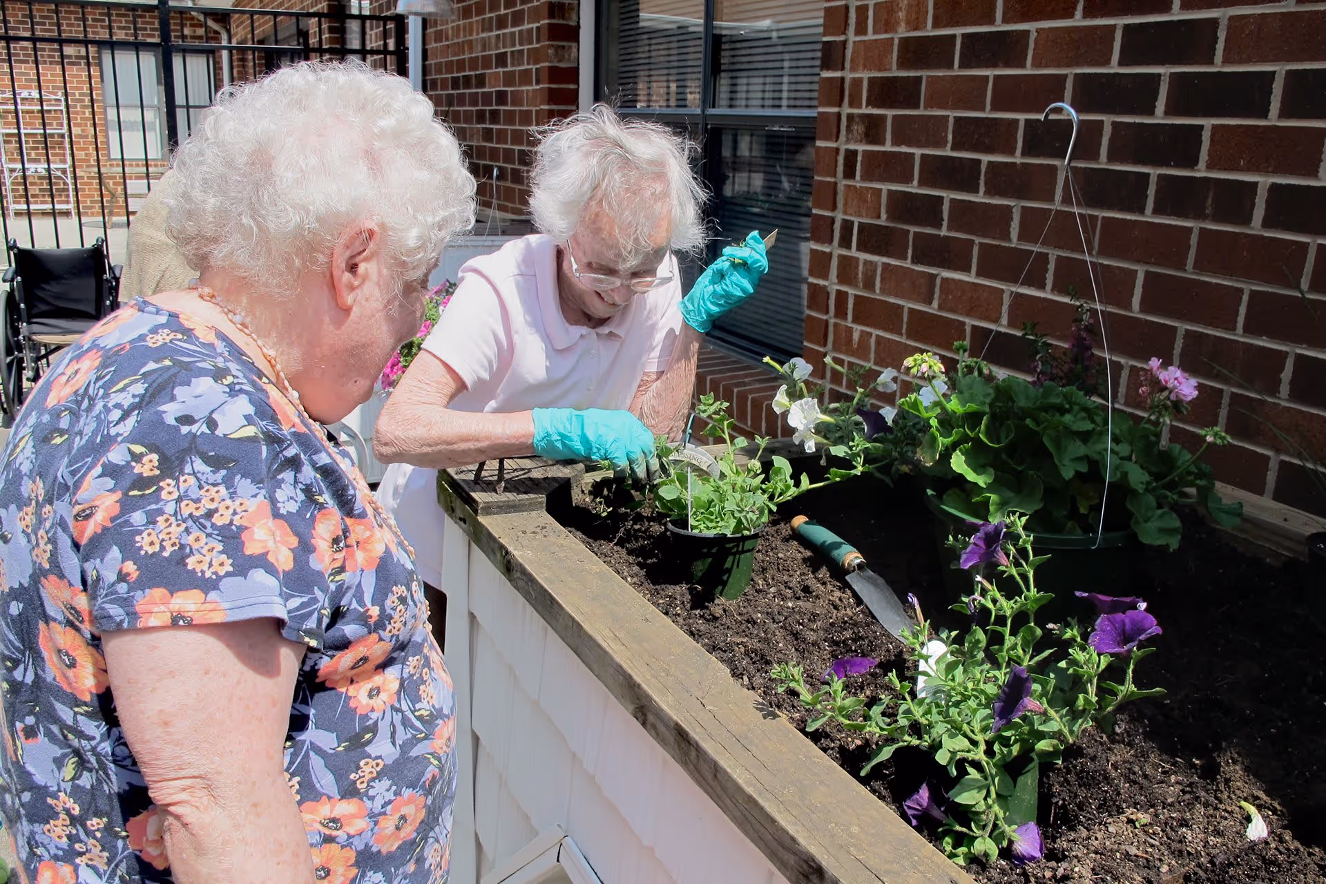 Two elderly women gardening together outdoors beside a brick wall. One woman is wearing a floral shirt and watching, while the other is wearing gloves and planting flowers in a raised garden bed filled with soil and various flowering plants.