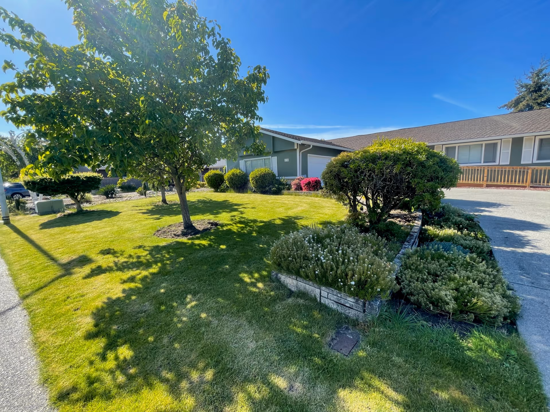 A sunny outdoor view of a well-maintained garden area with green grass, trees, and shrubs in front of a single-story building with a gray roof and green exterior walls under a clear blue sky.