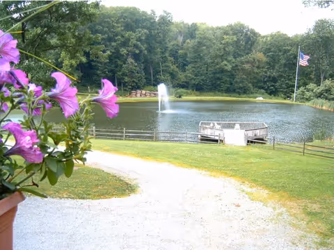A scenic outdoor area featuring a small pond with a water fountain in the center, surrounded by green grass and trees. There is a wooden dock extending into the pond and an American flag on a flagpole to the right. Purple flowers are visible in the foreground on the left side.