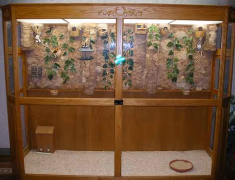 Wooden glass display labeled Kimball County Manor with vines and small objects inside.