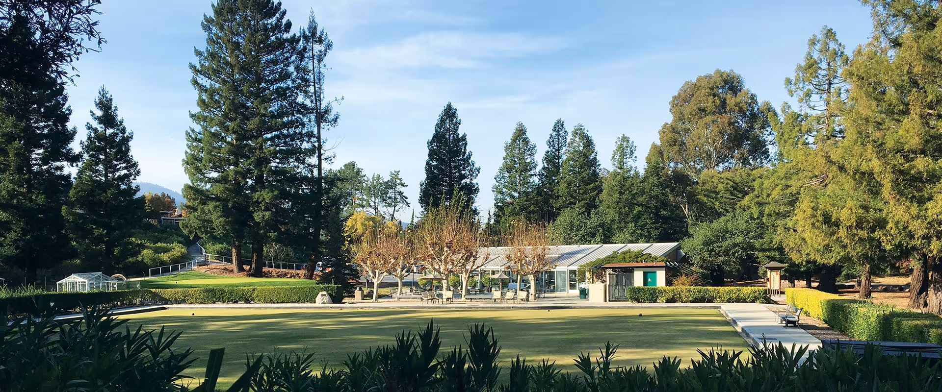 A serene outdoor scene at The Sequoias Portola Valley featuring a well-maintained lawn area surrounded by lush greenery and tall trees. In the background, there is a building with large windows and a patio area with tables and chairs under a clear blue sky.