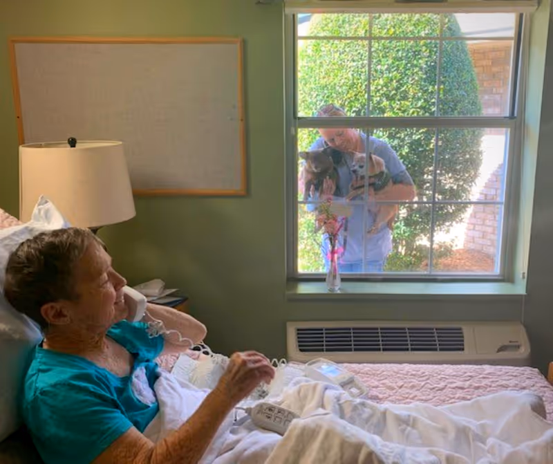 An elderly woman lying in a bed inside a room, holding a phone to her ear. Outside the window, a person is standing holding two small dogs. A vase with flowers is placed on the windowsill.