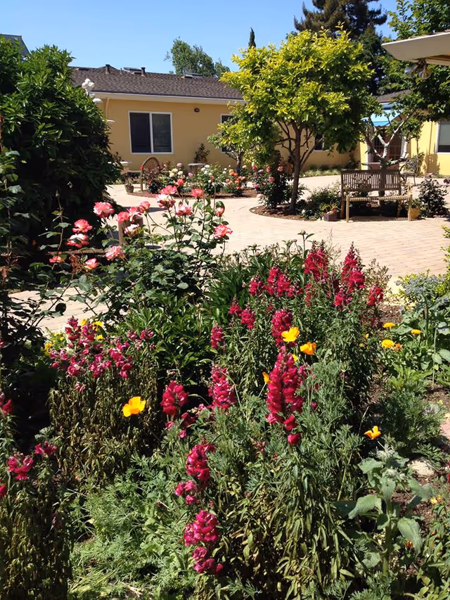 A vibrant garden area with various colorful flowers including pink, red, and yellow blooms in the foreground. Behind the garden, there is a paved courtyard with benches and small trees, surrounded by single-story yellow buildings with windows. The scene is sunny with a clear blue sky.
