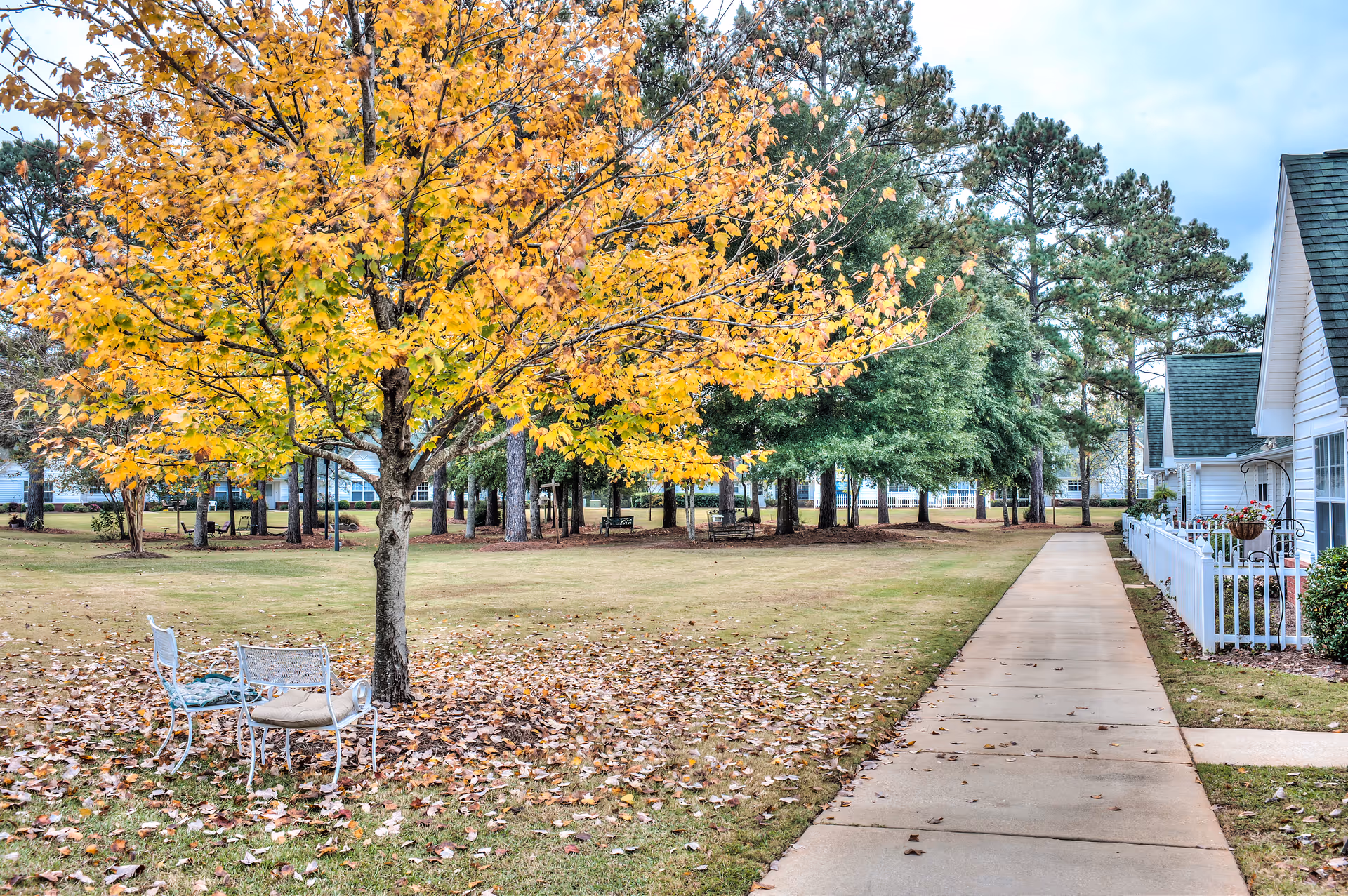 Outdoor scene at The Terrace at Grove Park showing a tree with yellow autumn leaves surrounded by fallen leaves on the grass. Two white metal chairs with cushions are placed under the tree. A concrete sidewalk runs alongside a white picket fence and white buildings with green roofs. Tall pine trees are visible in the background under a cloudy sky.