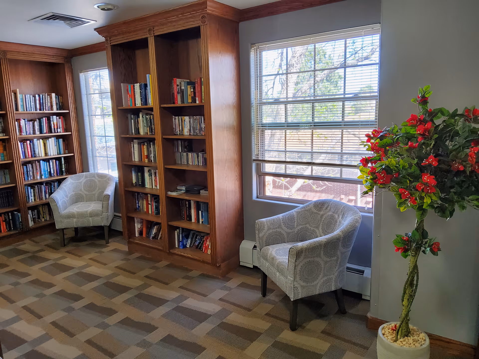 A cozy reading area in an assisted living facility featuring wooden bookshelves filled with books, two patterned armchairs positioned near windows with blinds, and a potted plant with red flowers on the right side.