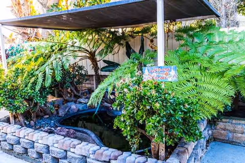 A lush outdoor garden with a small pond, rocks, and a shaded overhead cover.