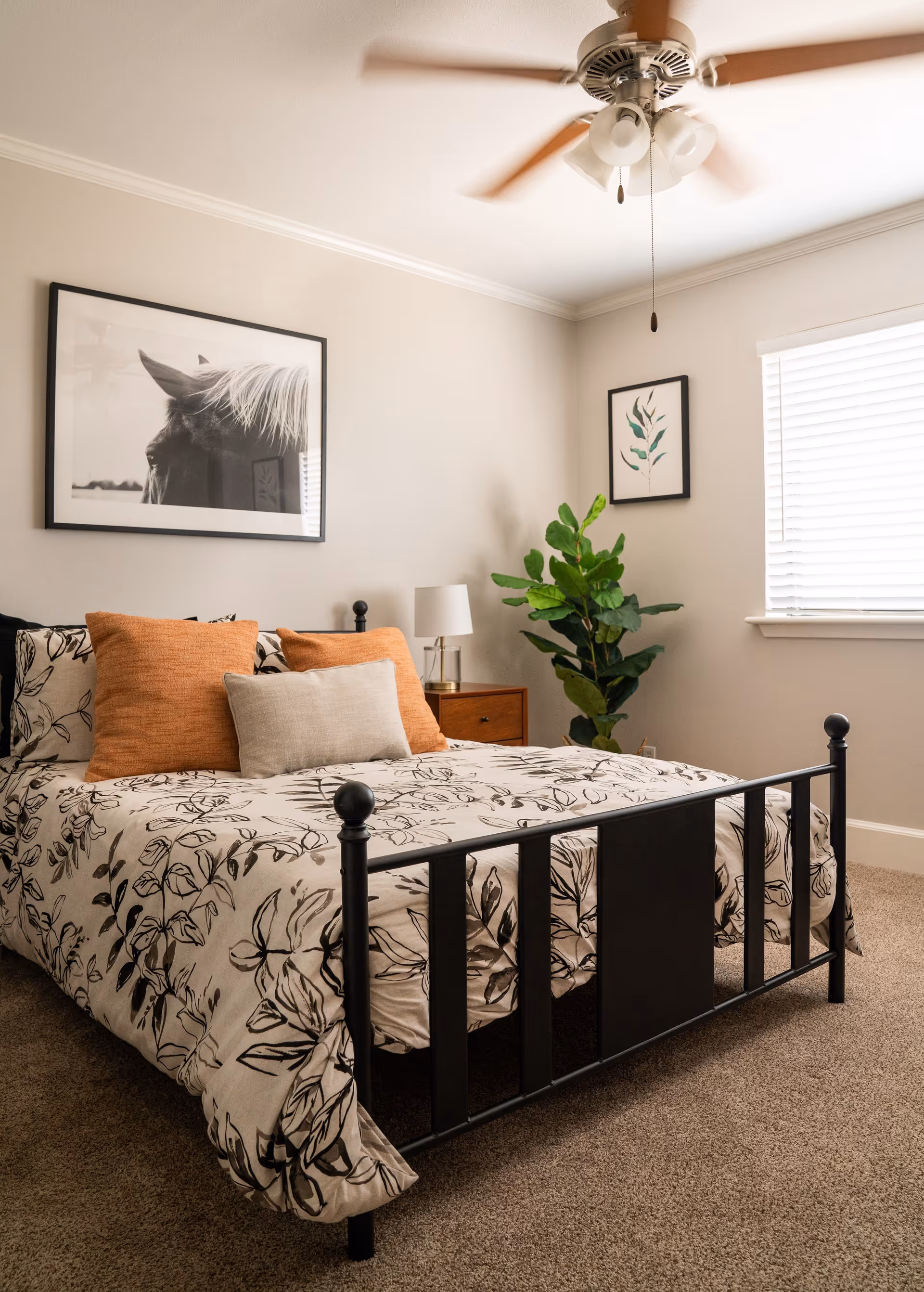 A cozy bedroom with a black metal bed frame, floral patterned bedding, and orange and beige pillows. There is a wooden nightstand with a lamp, a large green potted plant in the corner, a ceiling fan with lights, and two framed pictures on the walls, one of a horse and one of a plant.