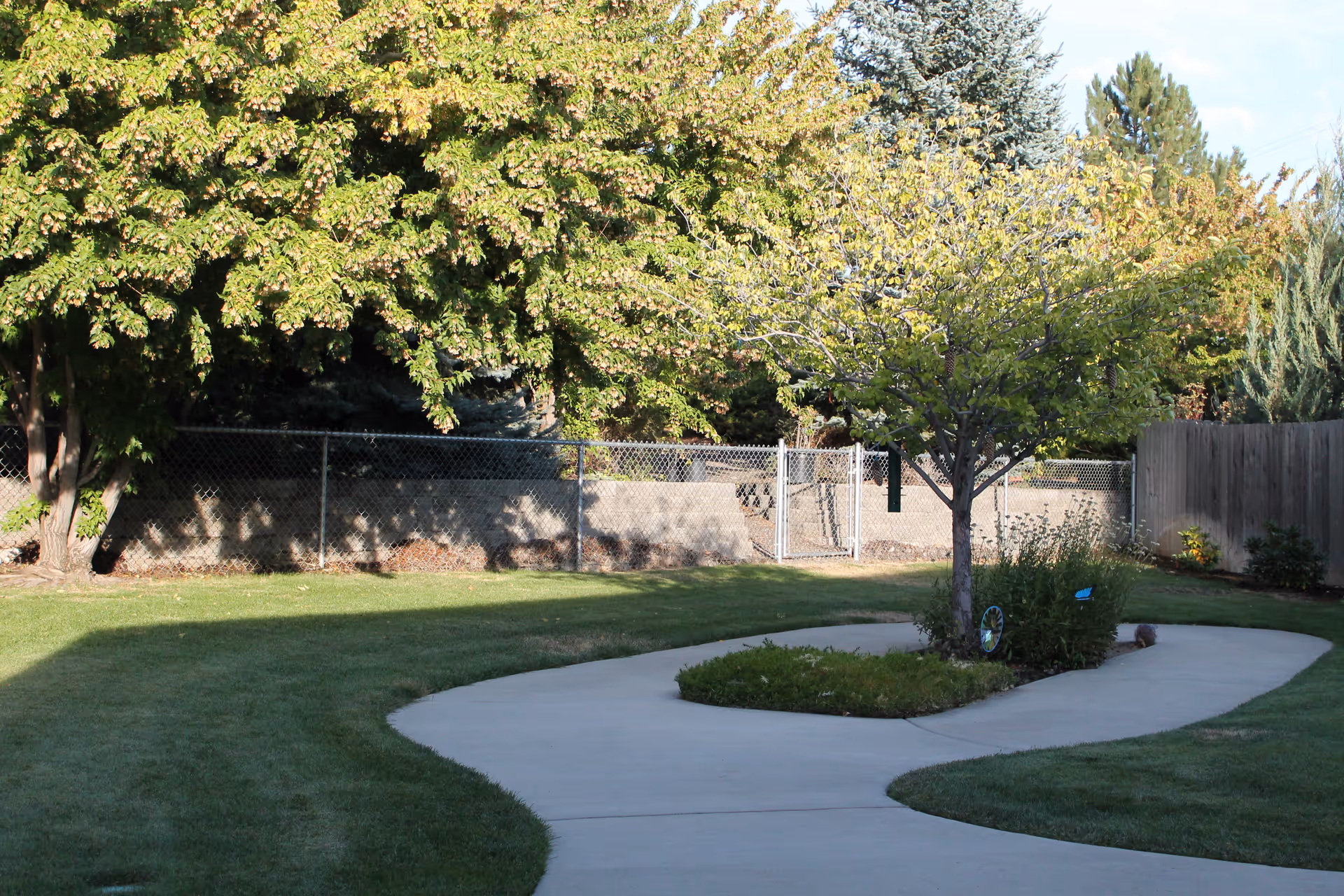 A curved concrete pathway winding through a grassy area with a small tree and plants in the center. The background features a chain-link fence, a wooden fence, and several leafy trees under a clear sky.
