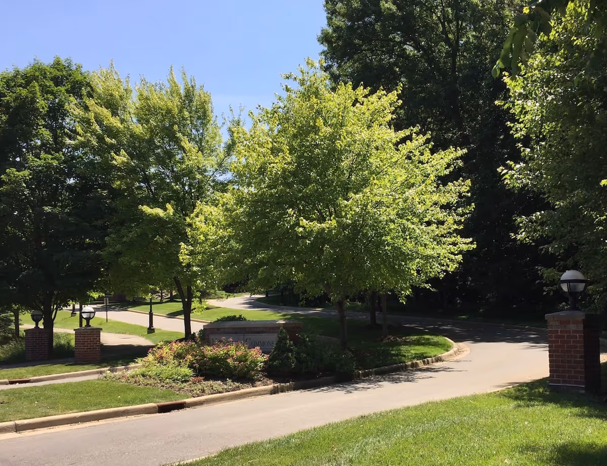 A sunny outdoor scene showing a curved driveway lined with green trees and well-maintained grass. There are brick pillars with spherical lamps on either side of the driveway entrance. A sign partially visible behind some bushes reads 'Commons'.