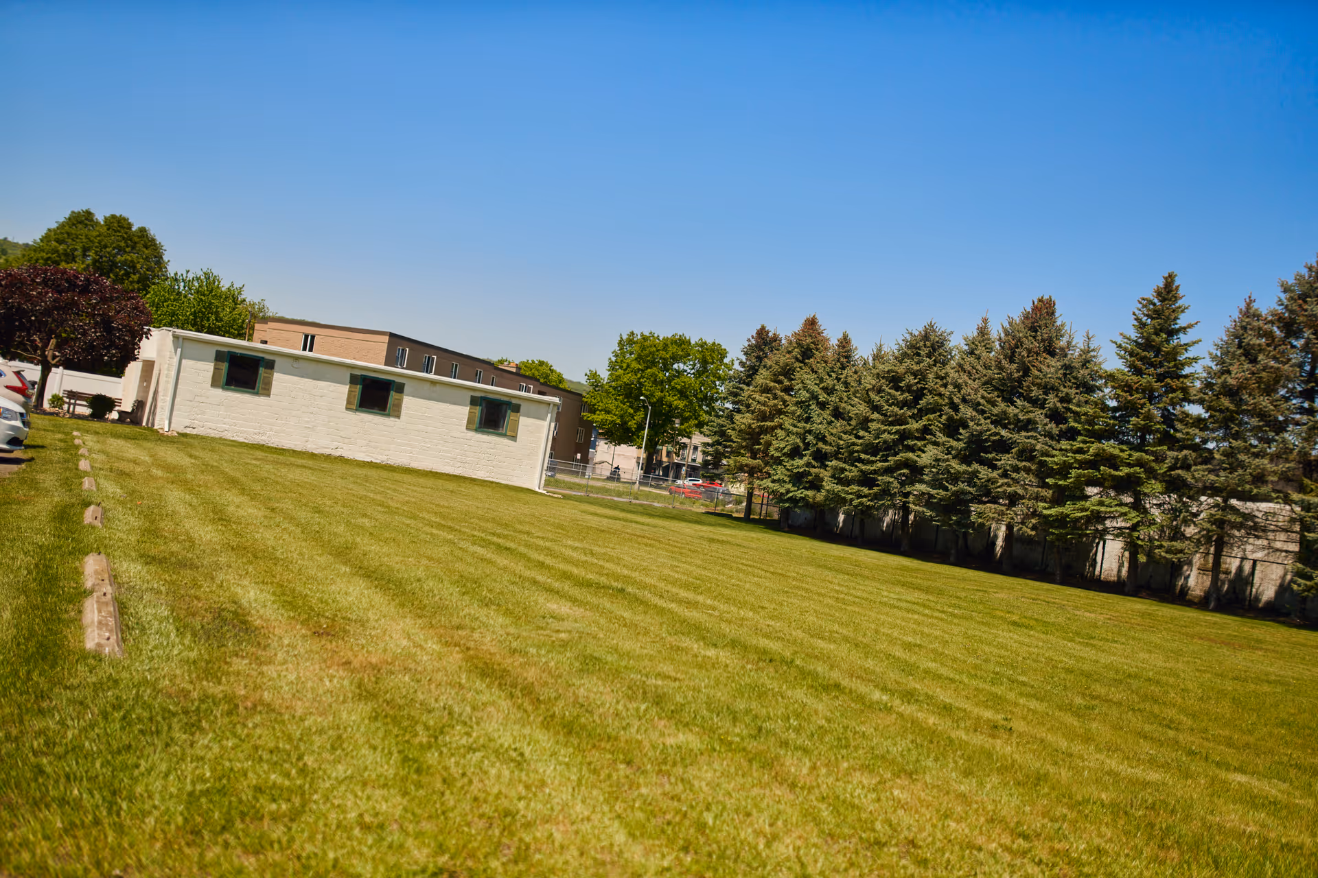 A large, well-maintained grassy lawn with a row of tall evergreen trees along the right side and a small white building with three windows on the left. In the background, there are additional buildings and some parked cars under a clear blue sky.