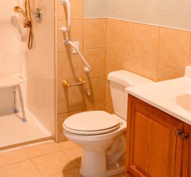 Accessible bathroom with toilet, shower, and wooden vanity cabinet.