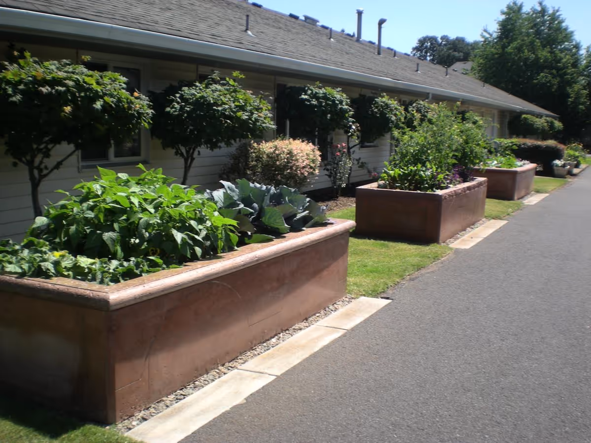 Large rectangular raised planters filled with plants along a paved walkway in front of a single-story building.