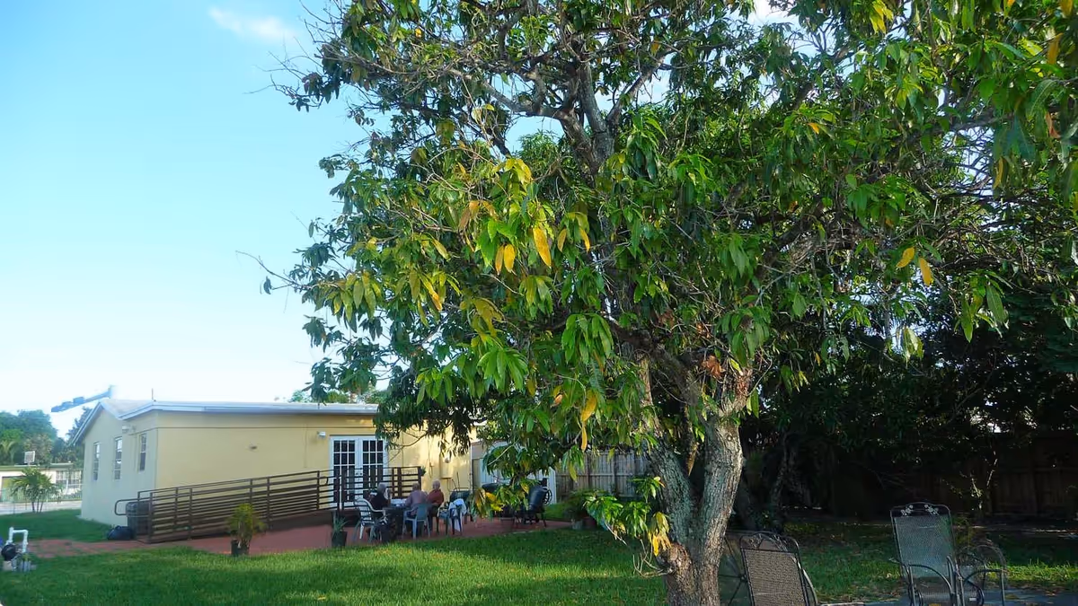 Grassy backyard with a large tree, patio seating and a single-story yellow building with a wheelchair ramp.