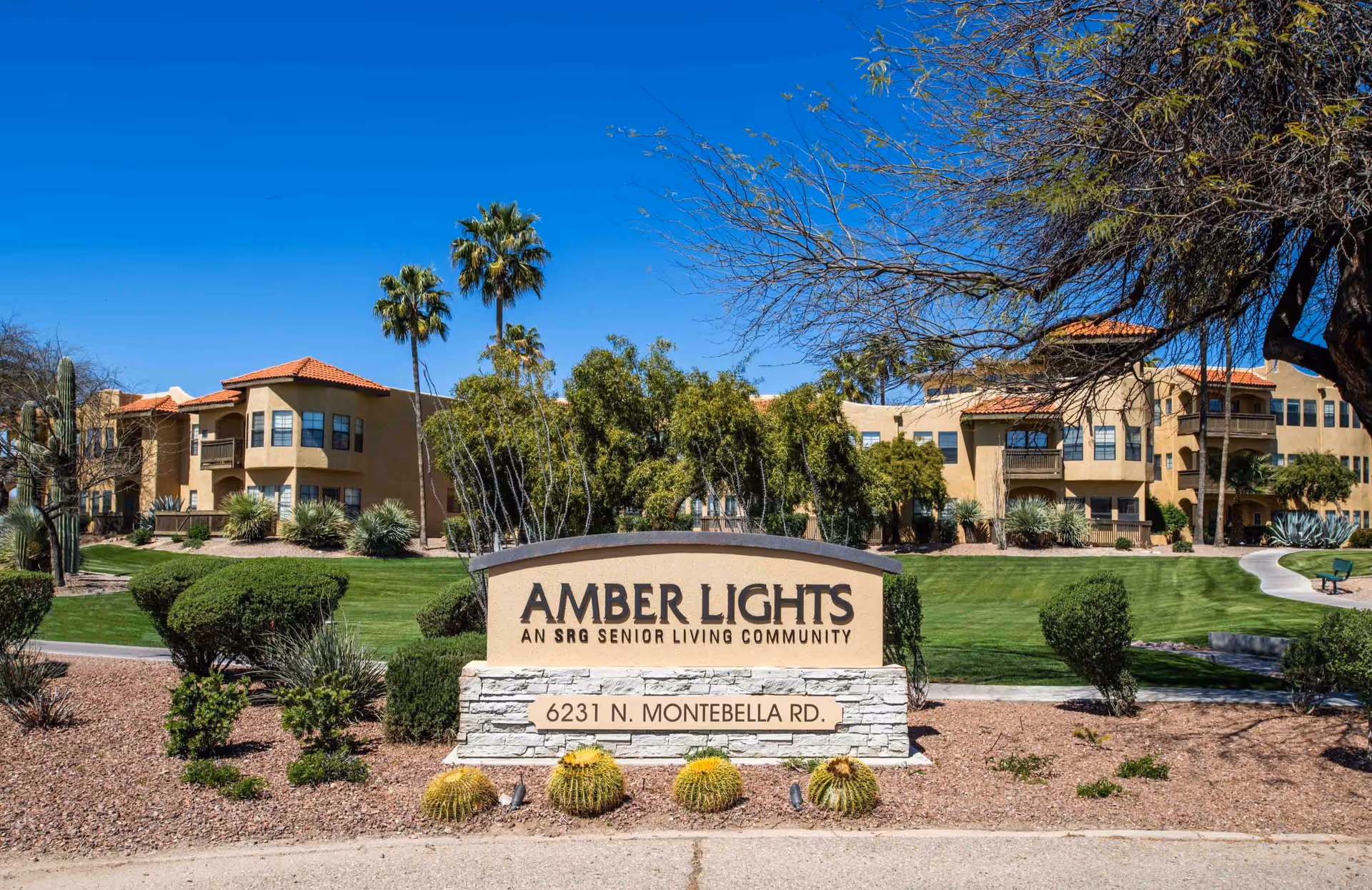 Exterior view of Amber Lights senior living community with a large sign displaying the name and address, surrounded by landscaped greenery, palm trees, and desert plants under a clear blue sky.