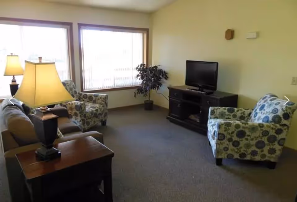A living room with a beige sofa, two patterned armchairs, a wooden side table with a lamp, a TV on a dark wooden stand, and a potted plant near two large windows with vertical blinds.