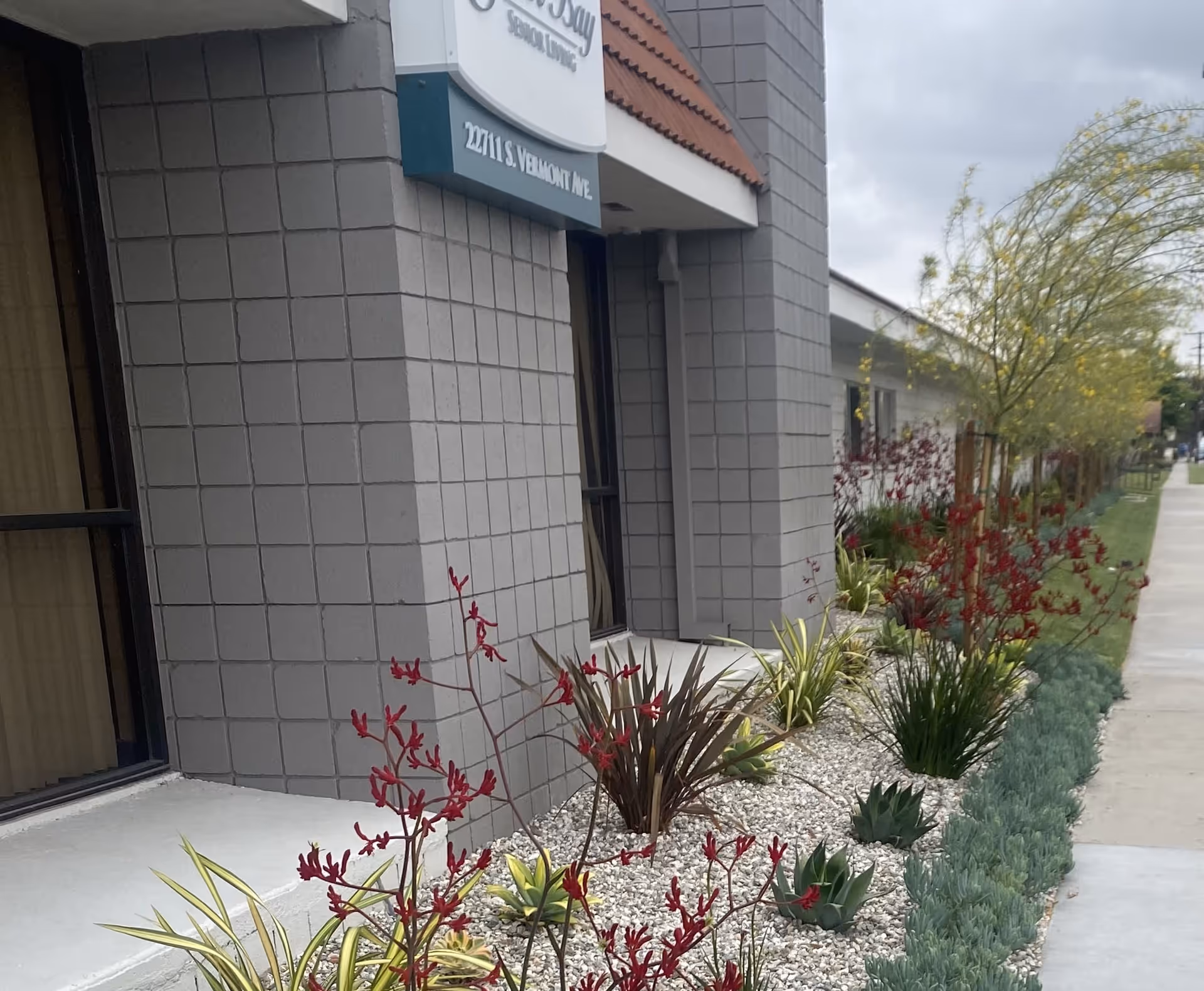 Exterior view of South Bay Senior Living building showing a gray tiled wall with windows and a landscaped garden bed with various plants and red flowers along a sidewalk under a cloudy sky.