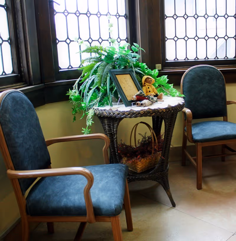 Two wooden armchairs with blue upholstered seats and backs are positioned around a small round wicker table. The table holds a green leafy plant, a small framed picture, and a teddy bear wearing a yellow raincoat. The setting is near windows with decorative glass panes, letting in natural light.