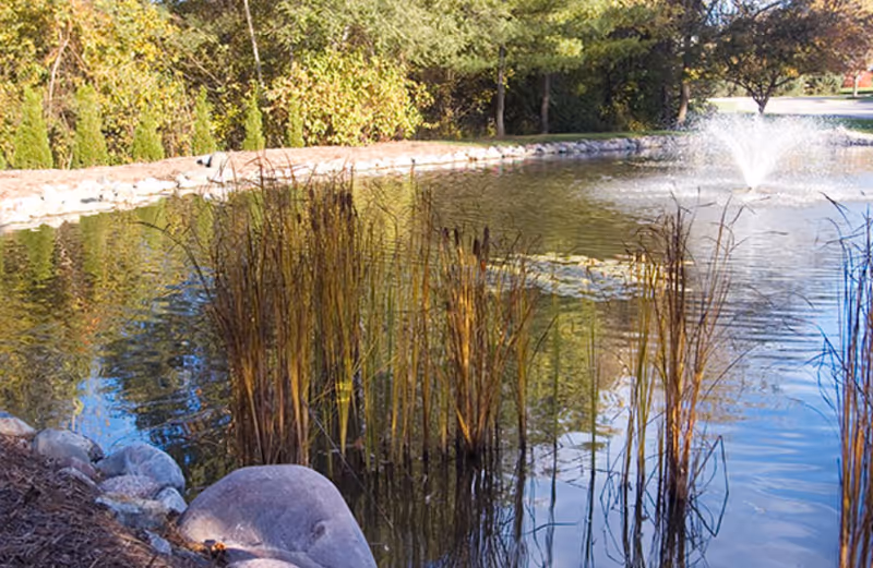 A pond with tall marsh grasses in the foreground and a fountain spraying water, surrounded by rocks and trees.