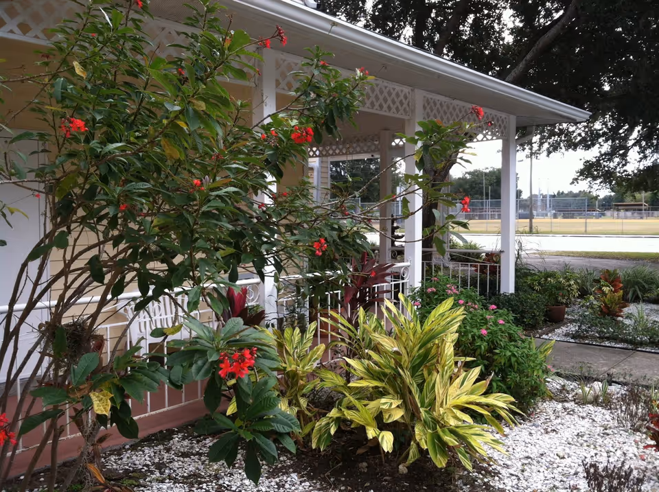 A garden area with various green plants and red flowers in front of a white porch with lattice trim. The porch has white railings and columns, and there is a paved walkway beside the garden. In the background, there is a fenced sports field and trees.