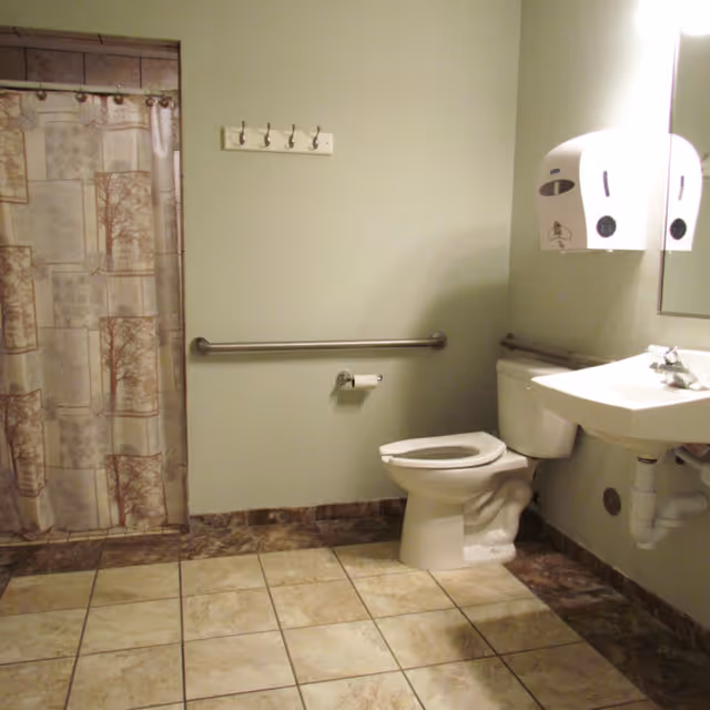 Accessible bathroom with a toilet, wall-mounted sink, grab bars and a shower with a patterned curtain.