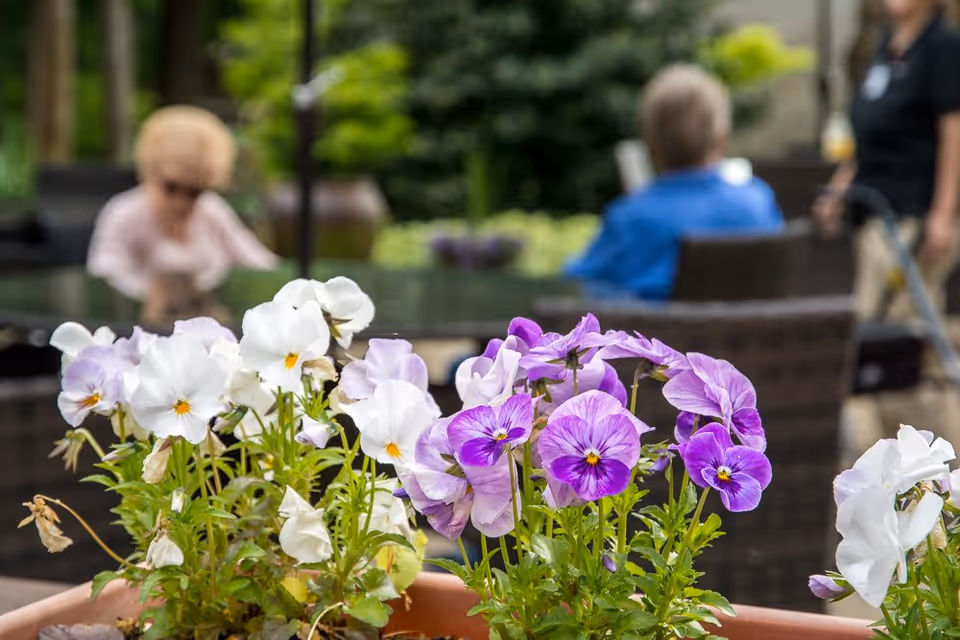 Close-up of white and purple pansy flowers in a planter with blurred background showing elderly people sitting outdoors at a table in a garden setting.