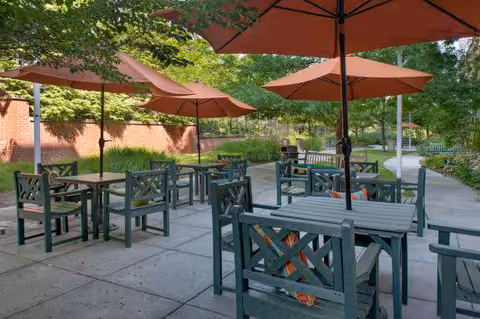 Outdoor courtyard patio with green wooden tables and chairs and several orange umbrellas.