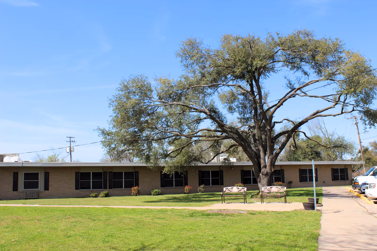Single-story brick building with multiple windows and black shutters, a large tree with spreading branches in front, two benches on a small paved area, green grass lawn, and a clear blue sky.