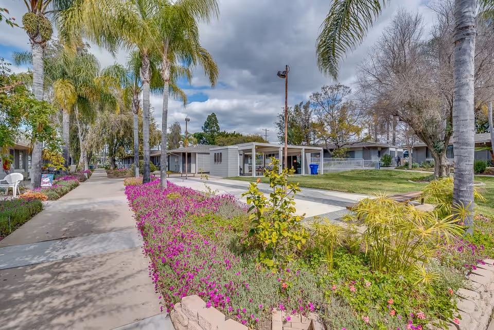 A landscaped outdoor pathway lined with palm trees and vibrant purple flowers at Monte Vista Village. Single-story buildings are visible on either side of the walkway under a partly cloudy sky.